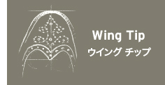 SSicon_Wing