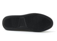 TRISTENL2 詳細画像