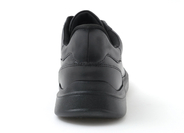 TRISTENL2 詳細画像