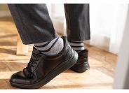 TRISTENL2 詳細画像