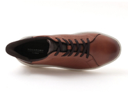 TRISTENL2 詳細画像