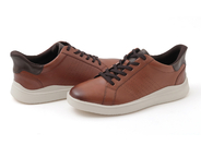 TRISTENL2 詳細画像