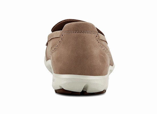 THORAN 詳細画像 サファリ 4