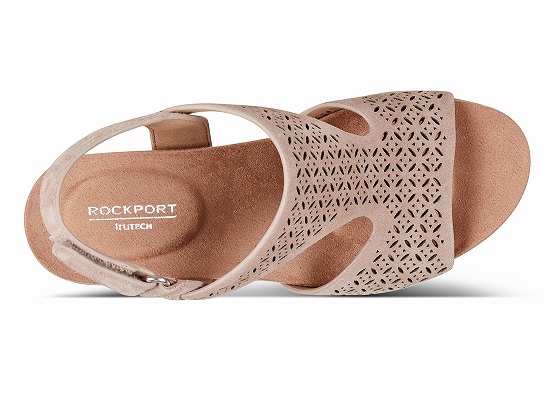 BRISTOL 詳細画像 サファリ 2